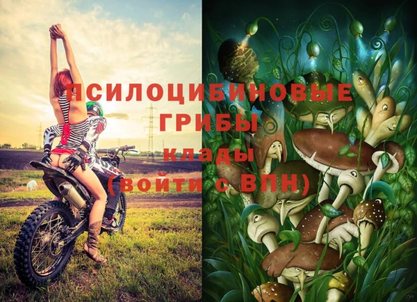 гашиш Сосновоборск