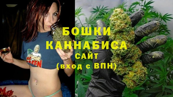 синтетический гашиш Снежногорск
